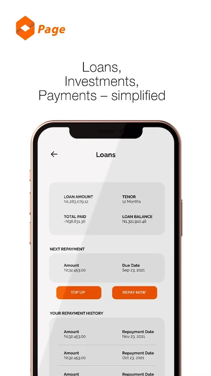 Page Financials Screenshot 4