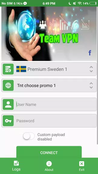 TeamVPN Screenshot 1