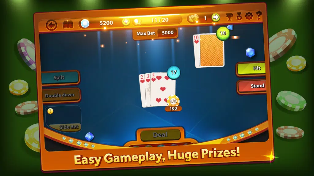 Blackjack Professional Screenshot 2