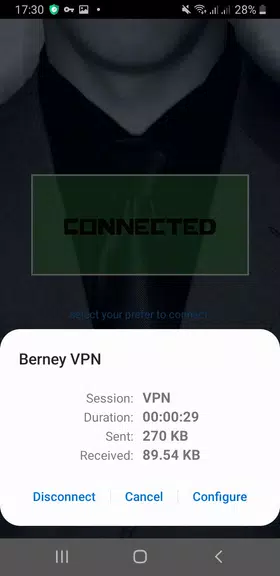 BARNEY VPN Screenshot 2