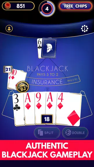 Blackjack Offline Screenshot 3