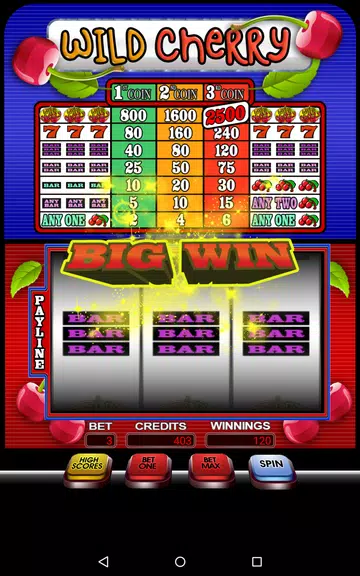 Wild Cherry Slotmachine Free Screenshot 3