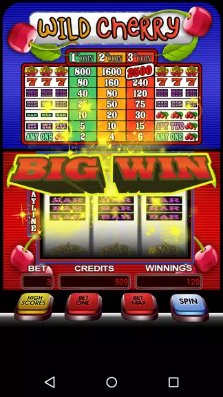 Wild Cherry Slotmachine Free Screenshot 1