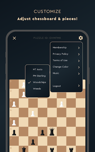 Tactics Frenzy – Chess Puzzles Screenshot 1