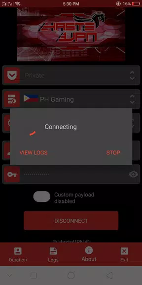 HasteVPN Screenshot 3