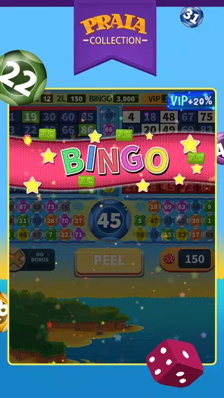 Video Bingo Pipa Screenshot 3