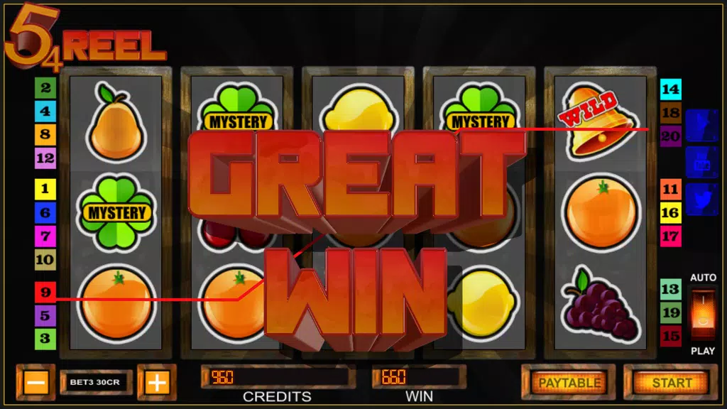 video slots 5-4-reel Screenshot 4