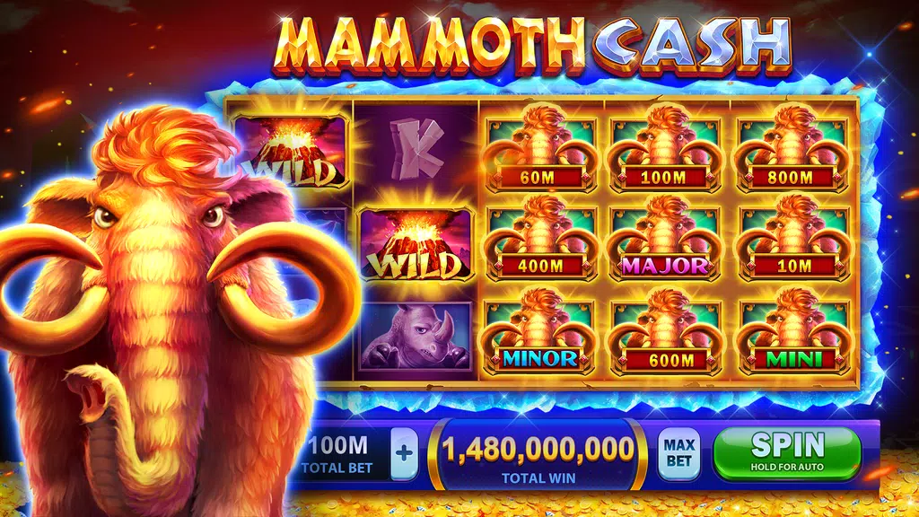 Cash Boost Slots : Vegas Casin Screenshot 3