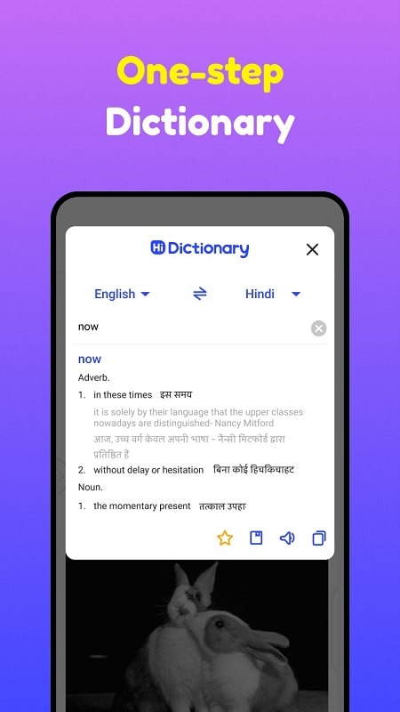 Hi Dictionary Screenshot 3