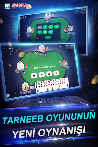 Türkiye Texas Poker Screenshot 2