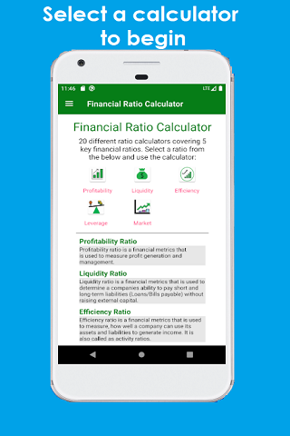 Financial Ratio Calculator Screenshot 1