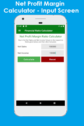 Financial Ratio Calculator Screenshot 2