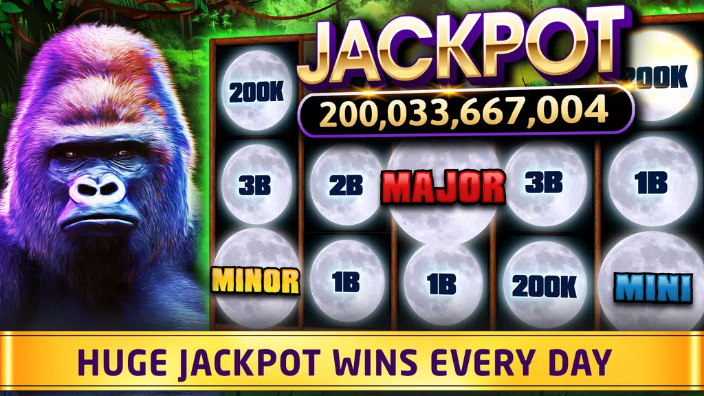 WinFun - New Free Slots Casino Screenshot 1