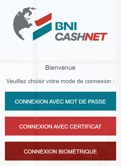 BNI CashNet Screenshot 1