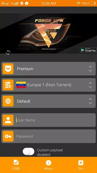 ForgeVPN Screenshot 1