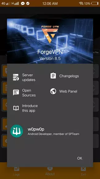 ForgeVPN Screenshot 2