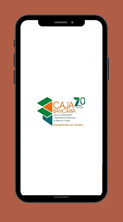 Caja Bancaria Screenshot 1
