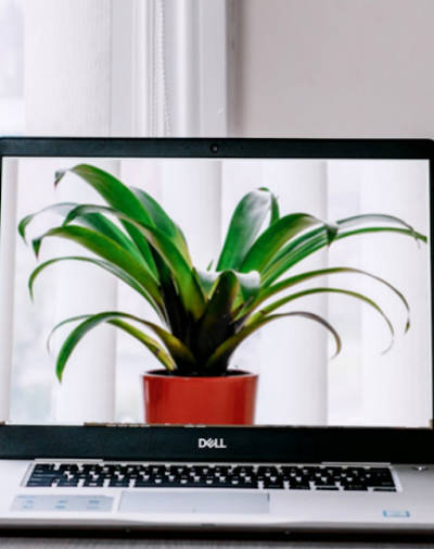 Iriun 4K Webcam for PC and Mac Mod Screenshot 2