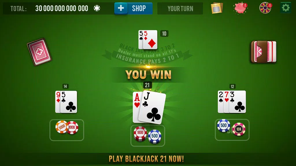 BLACKJACK 21 - 21 Card Game Screenshot 1