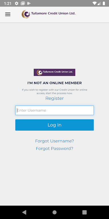 Tullamore Credit Union Ltd Screenshot 3