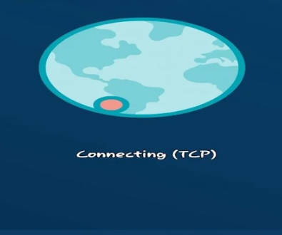 BlueFox VPN Screenshot 2