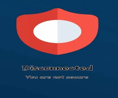 BlueFox VPN Screenshot 3