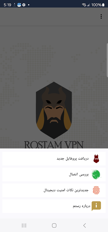 RostamVPN: VPN Fast & Secure Screenshot 3