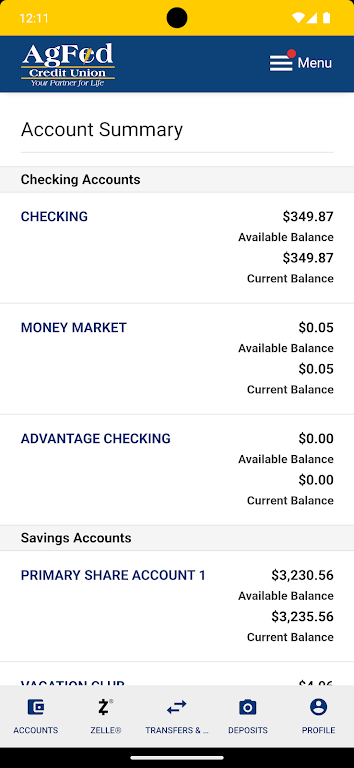 AgFed Credit Union Screenshot 2