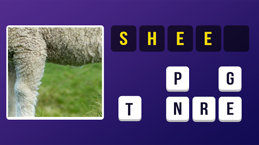 Close Up Pic Quiz Screenshot 3