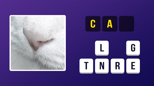 Close Up Pic Quiz Screenshot 1
