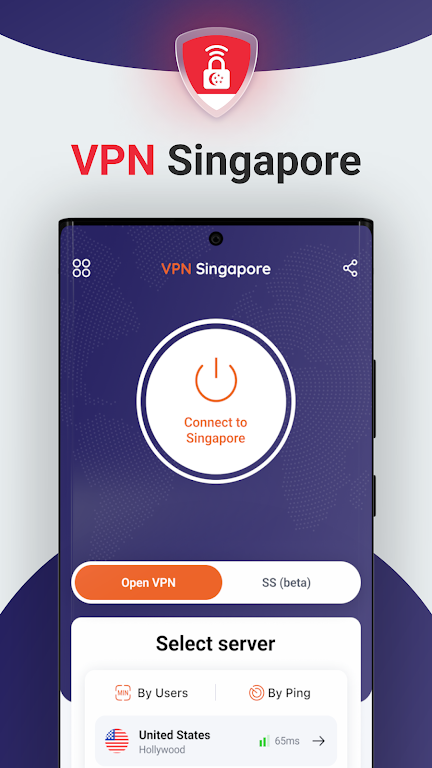 VPN Singapore Screenshot 1