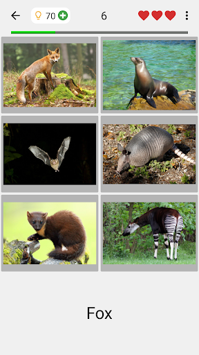 Animals Quiz - All Mammals Zoo Screenshot 4