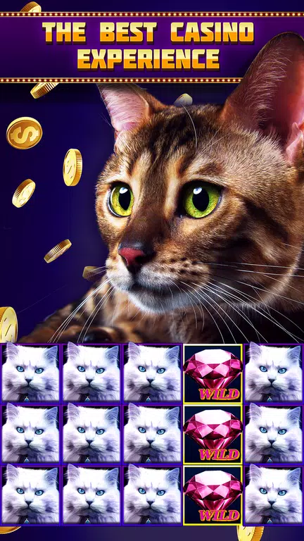 Casino Joy Mobile Video Slots Screenshot 1