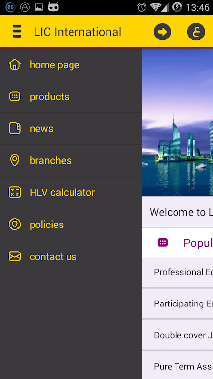 LIC International Screenshot 2