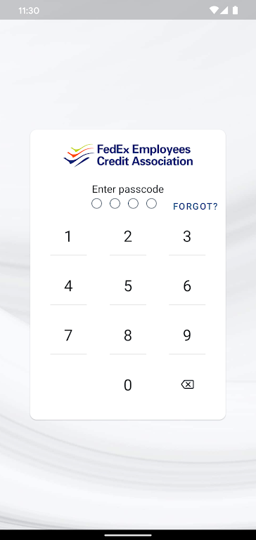 FedEx Employees Credit Assoc Screenshot 1
