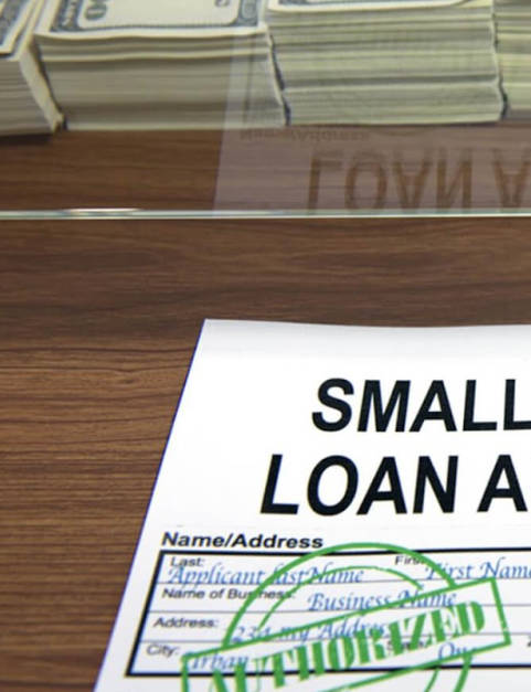 Business Loan Apply, Small Business Loan Guide Screenshot 2