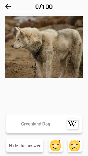 Dog Breeds - Quiz about all dogs of the world! Screenshot 1