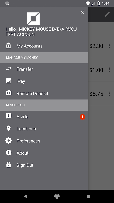 Rock Valley Credit Union Screenshot 2