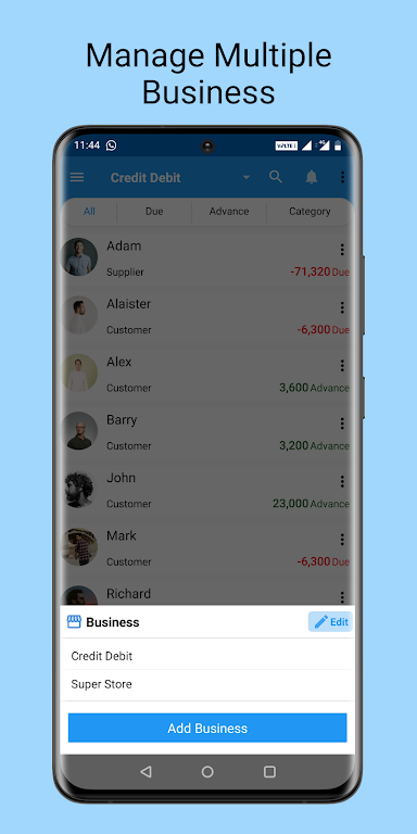 Credit Debit- ledger account Screenshot 2