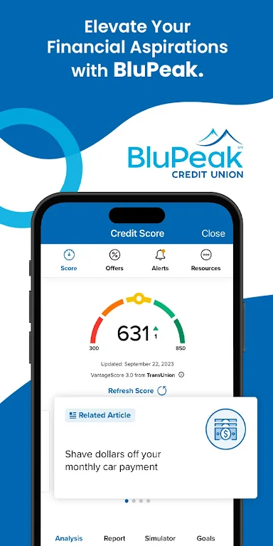 BluPeak Credit Union Mobile Screenshot 1