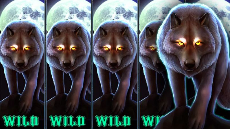 Slots Free: Las Vegas Slot Casino Screenshot 1