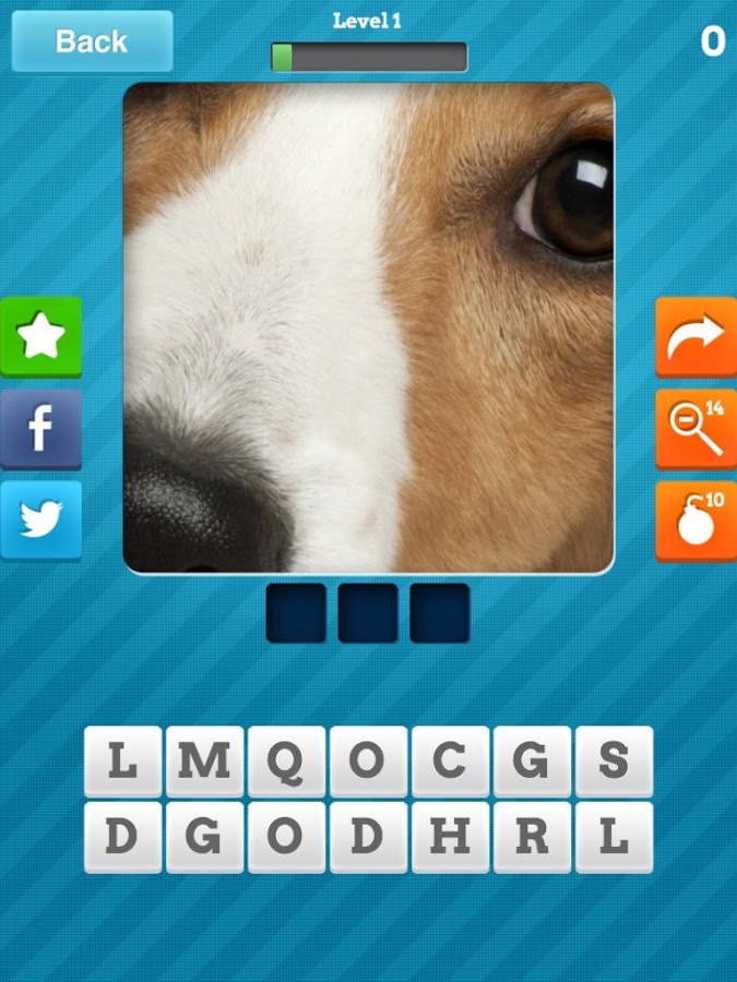 Close Up Animals - Kids Games Screenshot 3