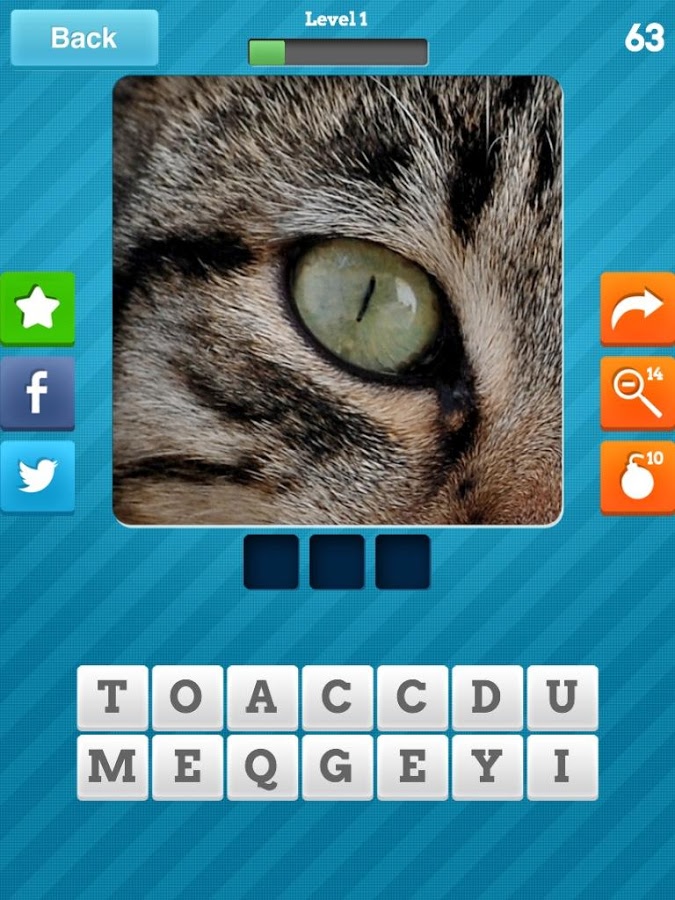 Close Up Animals - Kids Games Screenshot 2