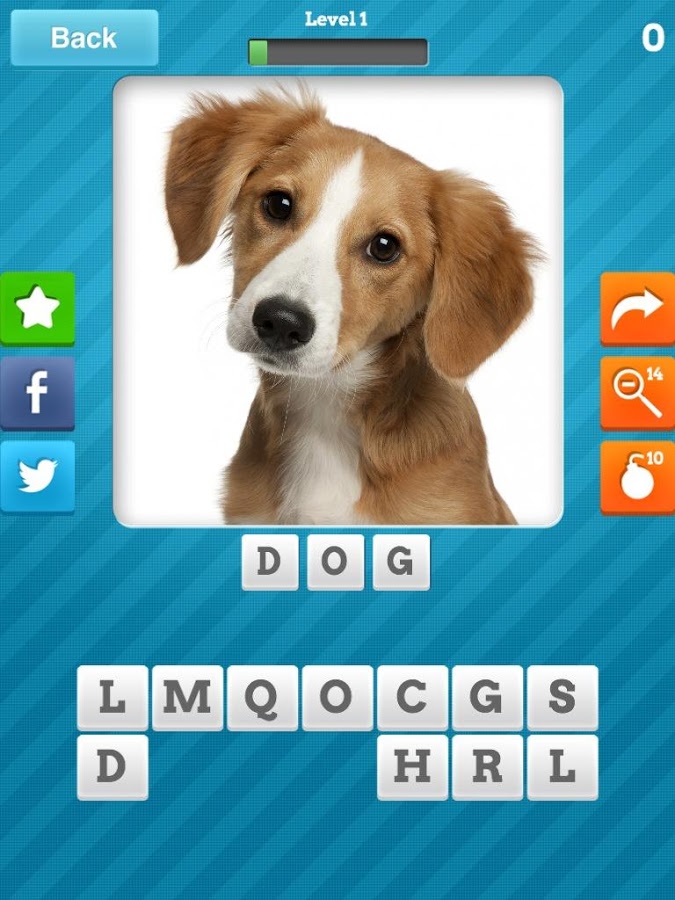 Close Up Animals - Kids Games Screenshot 4