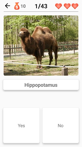 Mammals – Learn All Animals in Photo - Quiz! Screenshot 4
