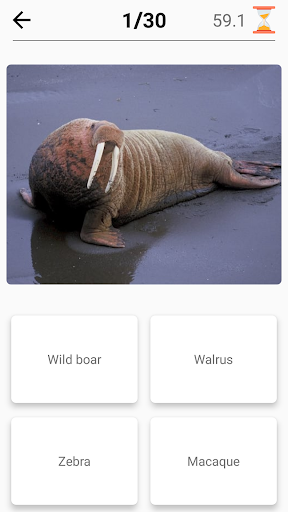 Mammals – Learn All Animals in Photo - Quiz! Screenshot 3