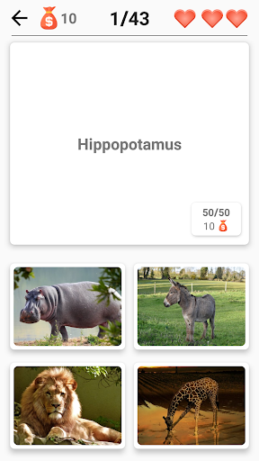 Mammals – Learn All Animals in Photo - Quiz! Screenshot 2