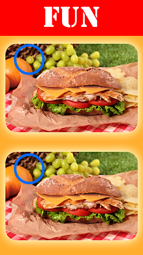 F5D2 - Find The Differences, Spot The Differences. Screenshot 3