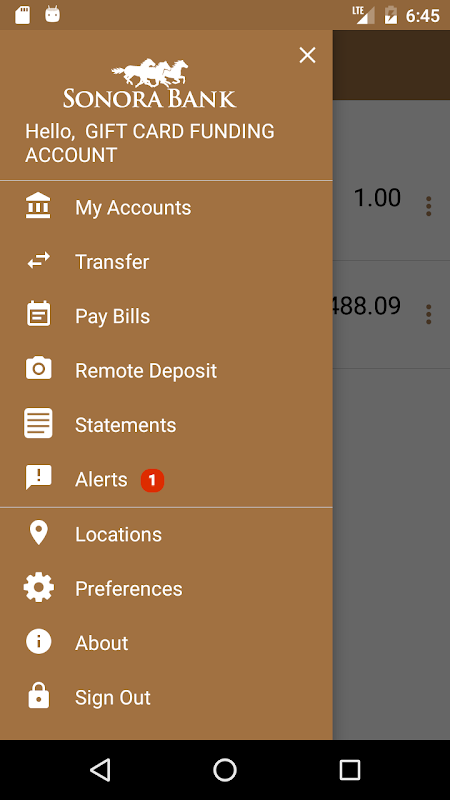 Sonora Bank Mobile Screenshot 1