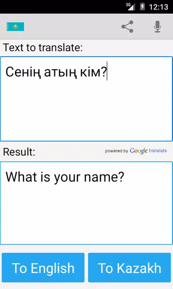 Kazakh English Translator Screenshot 4